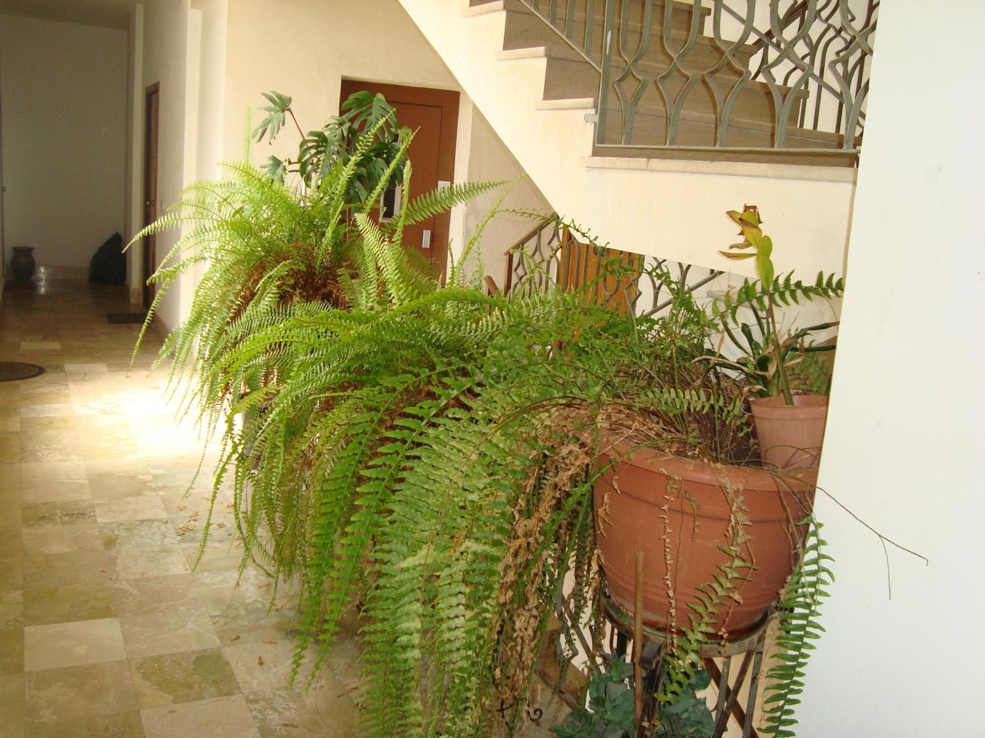Antonio'S House Panzió Agrigento Kültér fotó